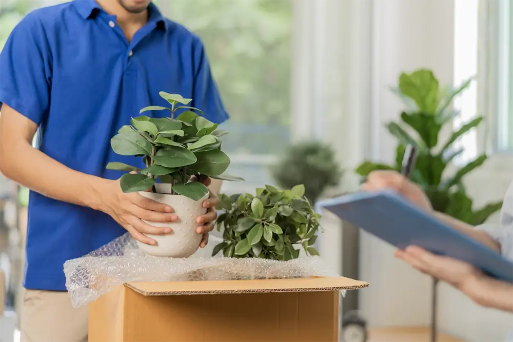 A delivery person lifting a potted plant out of a cardboard box lined with bubble wrap, while the recipient holds a clipboard