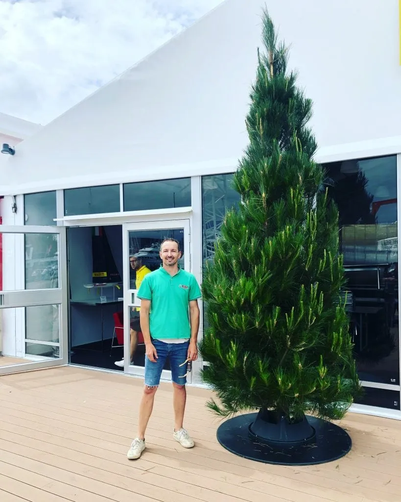 Misa Christmas Tree Delivery